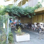 玉川赤ちゃんの家保育園