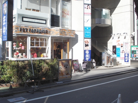 PET PARADISE(ペットパラダイス)　二子玉川