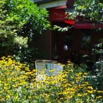 土筆　二子玉川